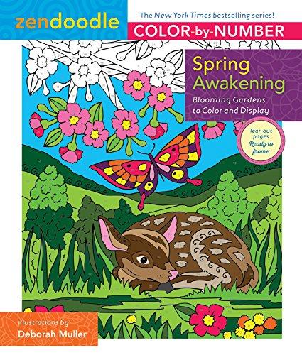 Zendoodle Color-By-Number: Spring Awakening: Blooming Gardens to Color and Display