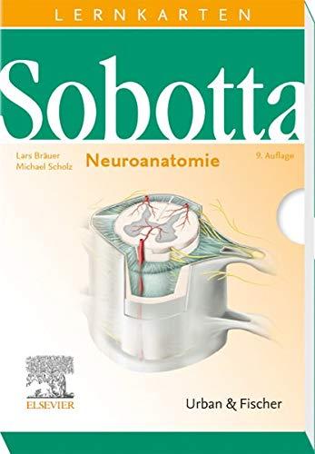 Sobotta Lernkarten Neuroanatomie