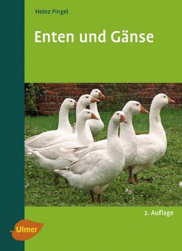 Enten und Gänse -