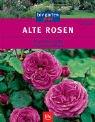 Alte Rosen