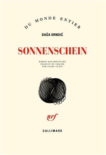 Sonnenschein : roman documentaire