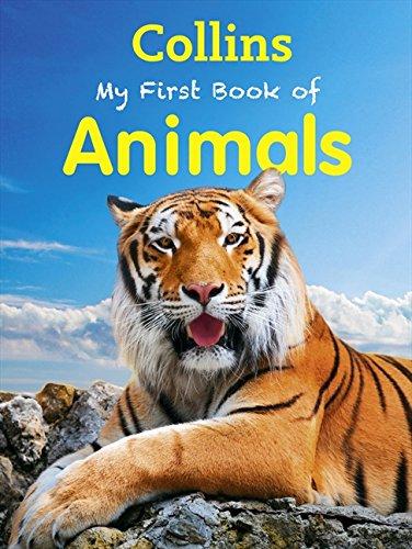 My First Book of Animals