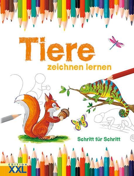 Tiere zeichnen lernen: Schritt für Schritt