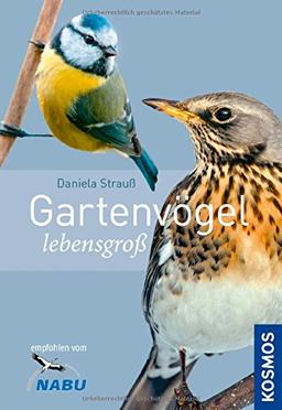 Gartenvögel lebensgroß