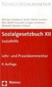 Sozialgesetzbuch XII - SGB: Sozialhilfe. Lehr- und Praxiskommentar