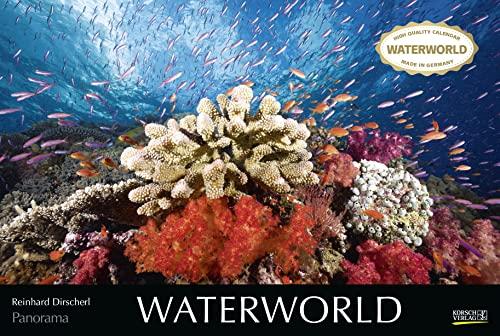 Waterworld 2023: Großer Foto-Wandkalender mit unterwasser-Bildern von Fischen. Edler schwarzer Hintergrund. PhotoArt Panorama Querformat: 58x39 cm.