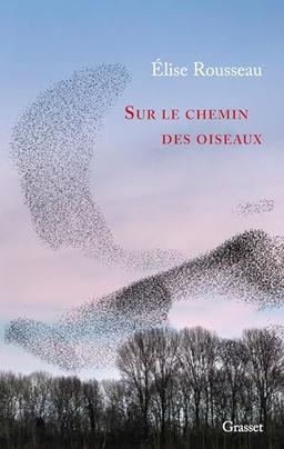 Sur le chemin des oiseaux