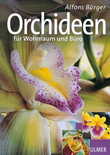 Orchideen. Für Wohnraum und Büro