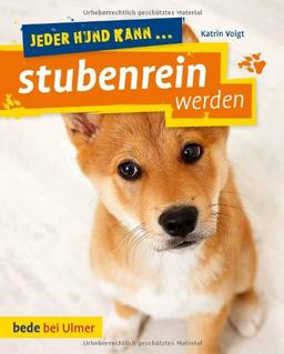 Jeder Hund kann stubenrein werden: So klappt's auch mit der Sauberkeit