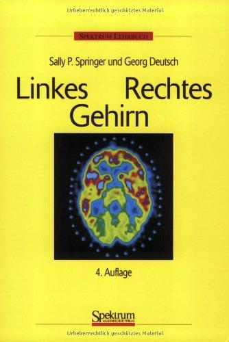 Linkes / Rechtes Gehirn