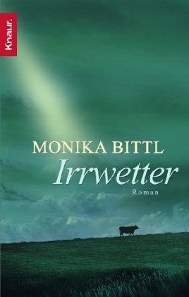 Irrwetter: Roman