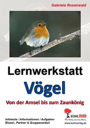 Lernwerkstatt Vögel Von der Amsel bis zum Zaunkönig: Ein Leben aus der Vogelperspektive