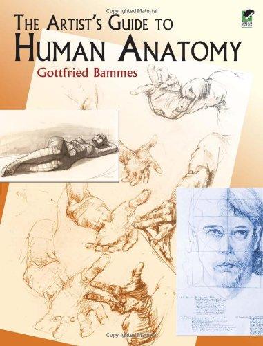 The Artist's Guide to Human Anatomy (Dover Anatomy for Artists)