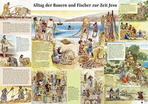 Alltag der Bauern und Fischer zur Zeit Jesu: Plakat, bebildert von Christine Egger