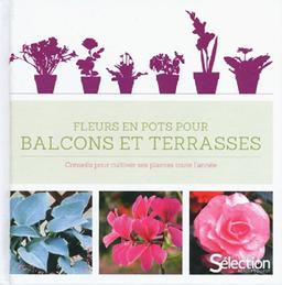 Fleurs en pots pour balcons et terrasses