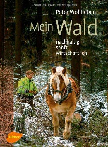 Mein Wald: Nachhaltig, sanft, wirtschaftlich