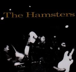 Hamsters