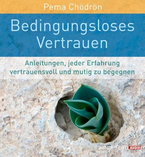 Bedingungsloses Vertrauen (Anleitungen, jeder Erfahrung vertrauensvoll und mutig zu begegnen): Jeder Erfahrung mit Vertrauen und Mut begegnen