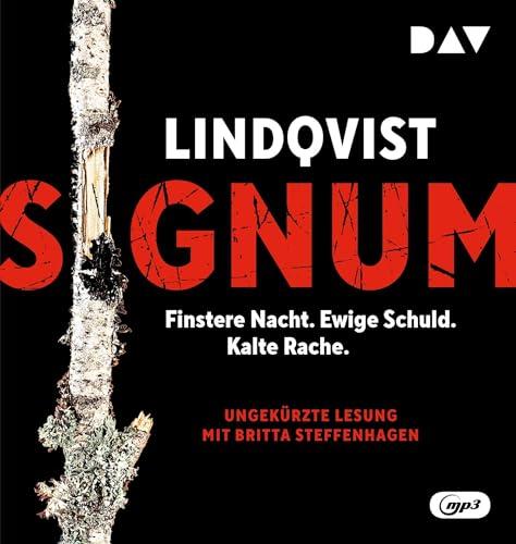 Signum: Ungekürzte Lesung mit Britta Steffenhagen (2 mp3-CDs) (Stormland)