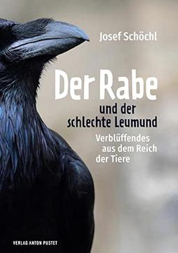 Der Rabe und der schlechte Leumund: Verblüffendes aus dem Reich der Tiere