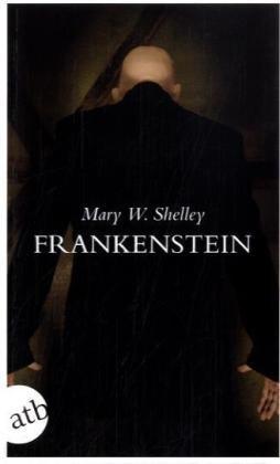 Frankenstein: Roman (Schöne Klassiker)