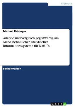 Analyse und Vergleich gegenwärtig am Markt befindlicher analytischer Informationssysteme für KMU´s