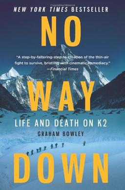 No Way Down: Life and Death on K2