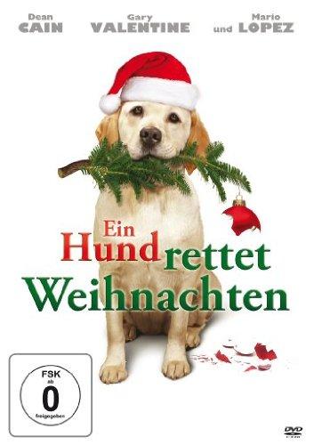 Ein Hund rettet Weihnachten