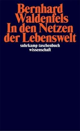 In den Netzen der Lebenswelt (suhrkamp taschenbuch wissenschaft)