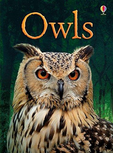 Bone, E: BEG Owls (Beginners Series)