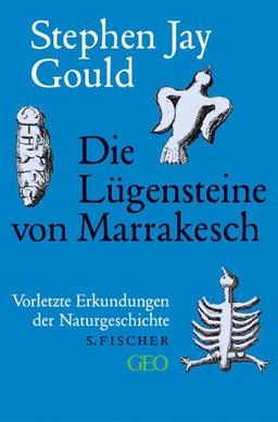 Die Lügensteine von Marrakesch. Vorletzte Erkundungen der Naturgeschichte