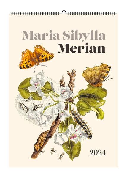 Maria Sibylla Merian. Wandkalender 2024: Bilder aus „Die wunderbare Verwandelung und sonderbare Blumen-nahrung“