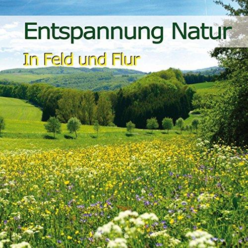 Entspannung Natur-in Feld und Flur