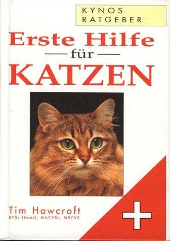 Erste Hilfe für Katzen