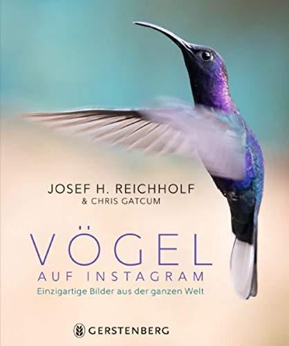 Vögel auf Instagram: Einzigartige Bilder aus der ganzen Welt