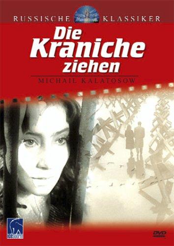 Die Kraniche ziehen