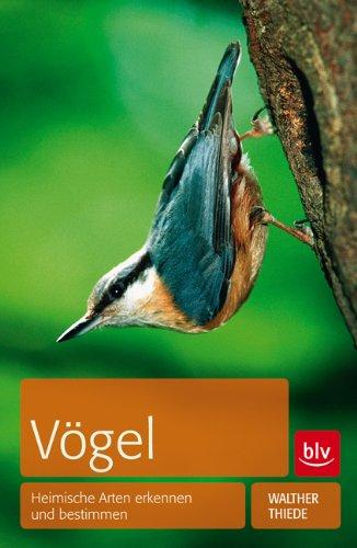 Vögel: Heimische Arten erkennen und bestimmen