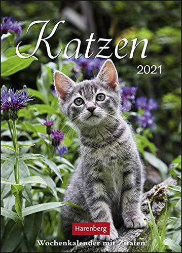 Katzen Kalender 2021: Wochenkalender mit Zitaten