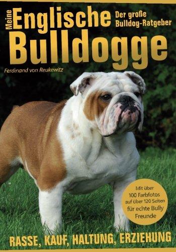 Meine Englische Bulldogge - Der Bully Ratgeber