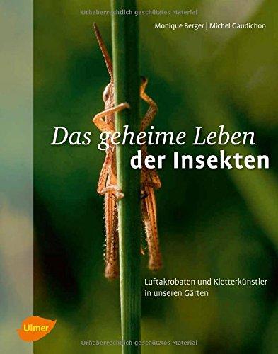 Das geheime Leben der Insekten: Luftakrobaten und Kletterkünstler in unseren Gärten