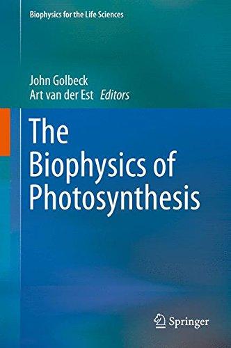 The Biophysics of Photosynthesis (Biophysics for the Life Sciences)