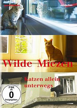 Wilde Miezen - Katzen allein unterwegs