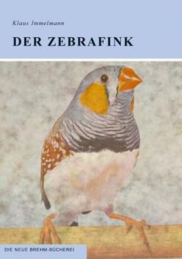 Der Zebrafink: Taeniopygia guttata