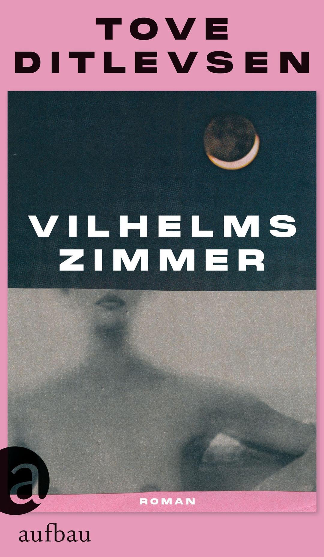 Vilhelms Zimmer: Roman