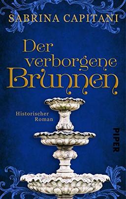 Der verborgene Brunnen: Historischer Roman aus der Provence