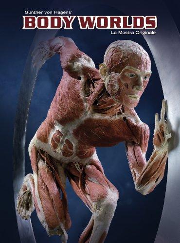 Exhibition Catalog BODY WORLDS (Italian)