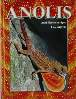 Anolis