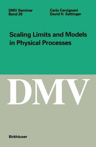 Scaling Limits and Models in Physical Processes (Oberwolfach Seminars, Band 28)