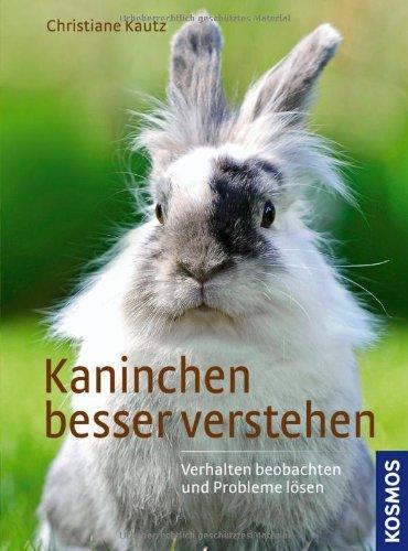 Kaninchen besser verstehen: Verhalten beobachten und Probleme lösen