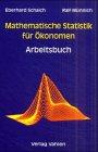 Mathematische Statistik für Ökonomen, Arbeitsbuch